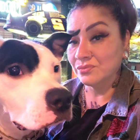 Meet your Posher, Shell - Picture 1 of 1